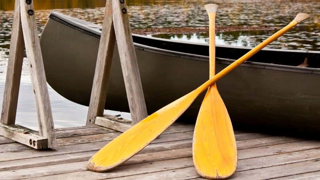canoe paddles  - kayaking gear