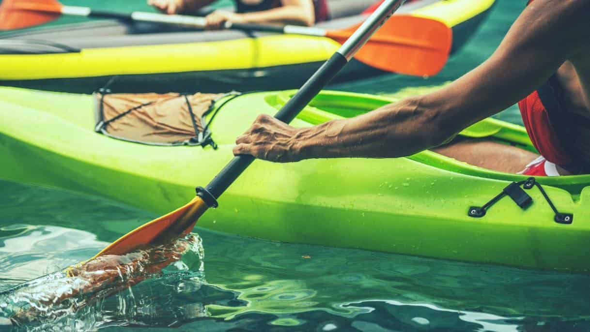 paddles - kayaking gear