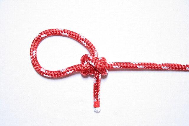 Taut Line Hitch - Camping Knots Guide